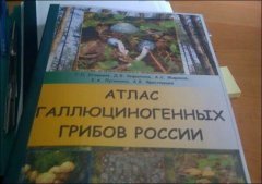 Учебное пособие )))