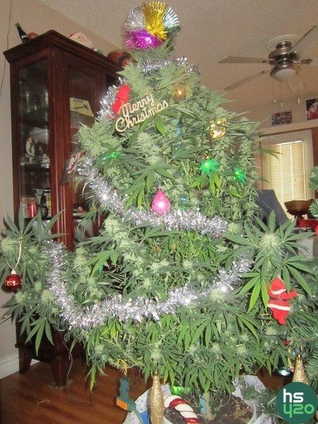 Разное