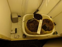 Бокс под культурные