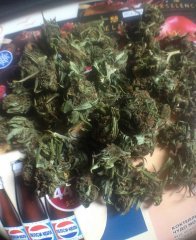 Sweet 'n Sour Indoor