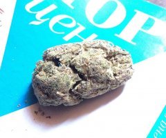 Peyote Purple 742