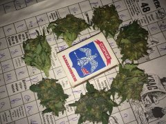 Blue Berry2 879