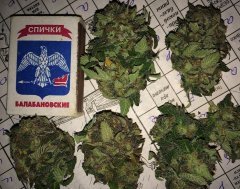 TrainWreck 6843