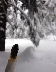 Зимняя сказка...