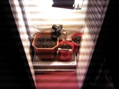 IMG 20130417 102048