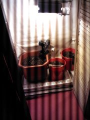 IMG 20130417 102104