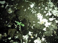 IMG 20130413 111103
