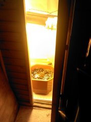 IMG 20130412 201223