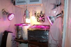 Новые Леды с Ebay по 54 Ватт