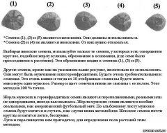 Очень интересная методика,надо будет попробовать))