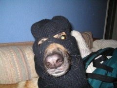 соба