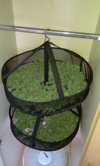 КУШ