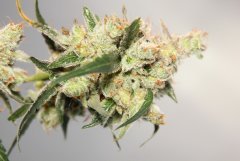 hydro2