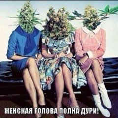 Правда жизни )