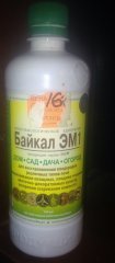 Байкал ЭМ1