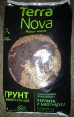 terra nova