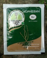 Корневин