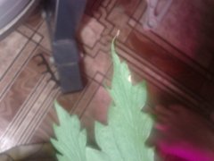 2013 09 19 20.42.00