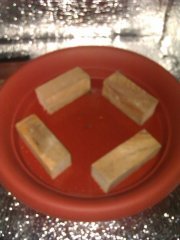 IMAG04951