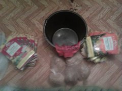 IMAG0496
