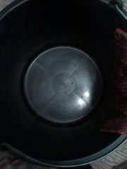 IMAG0495