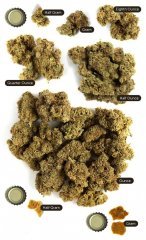A Visual Guide