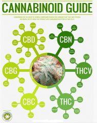 Cannabinoid Guide