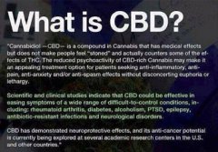 what is CBD