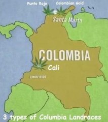 colombia card