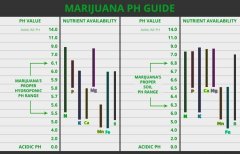 PH guide