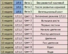 таблица GHE