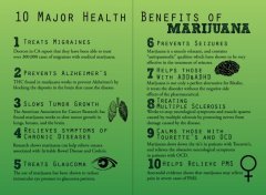 10 Major Health