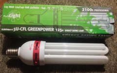 ЭСЛ "Green Power" 2100К