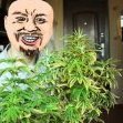 VitalSevsk