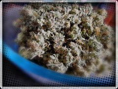 Ммм сахарные шишки конопли