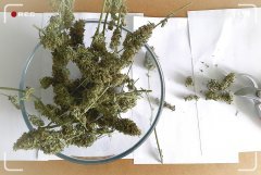 Обработка высушеных шишек