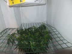 Скрог 6Х6