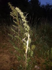 20170924_183637.jpg