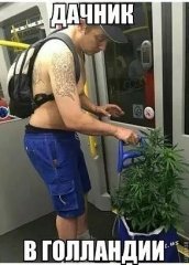 image.jpeg