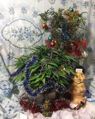HappyNewYear_17-18.JPG