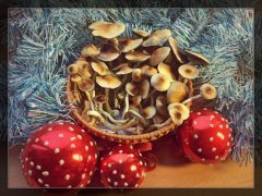 Happy New Shroom Year