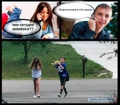 10995980.jpg