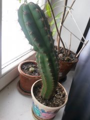20180215_121455.jpg