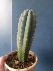 20180215_121538.jpg