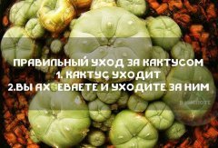 Правильный уход