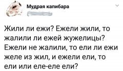 8BD526A3-1C69-4CB6-8C52-887684679E23.jpeg