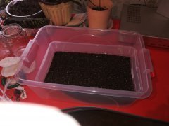 IMG_20180314_143334.jpg