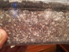 IMG_20180317_185039.jpg