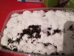 IMG_20180321_193830.jpg