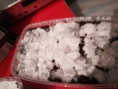 IMG_20180321_193850.jpg